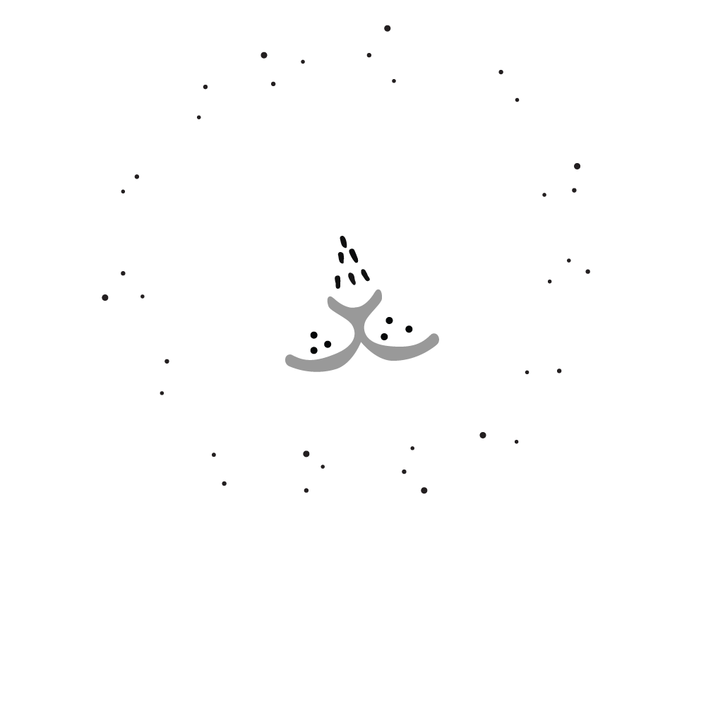 Singa Tidur